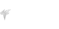 TF
